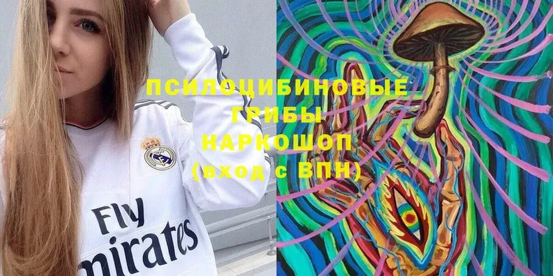 Псилоцибиновые грибы мицелий  Кашин 